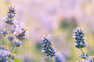 Similar image 12596936