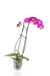 Similar image 12597156