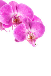 Similar image 12597176