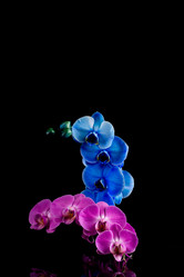 Similar image 12597177