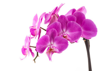 Similar image 12597192