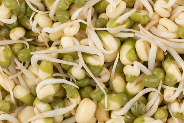 Similar image 12597272