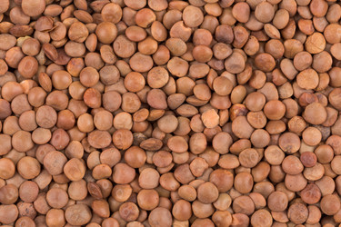 Similar image 12597372