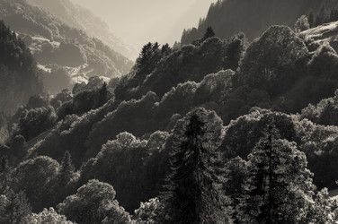 Similar image 12596779