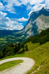 Similar image 12596780