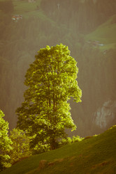 Similar image 12596781