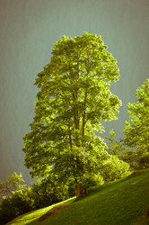 Similar image 12596784