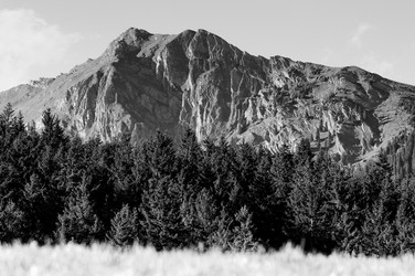 Similar image 12596806