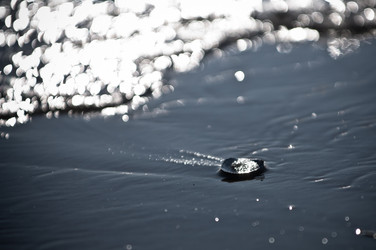 Similar image 12597030