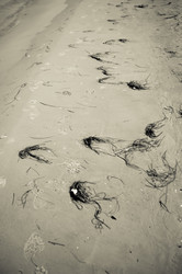 Similar image 12597031