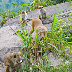 Similar image 12580616