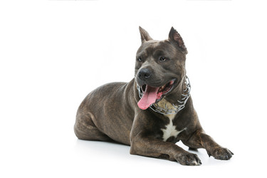 Similar image 12582245