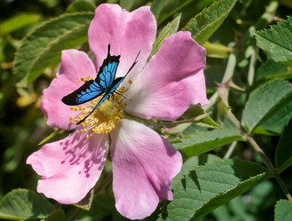 Similar image 12580844