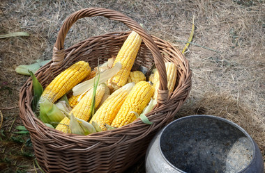 Similar image 12580846