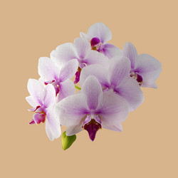 Similar image 12580101