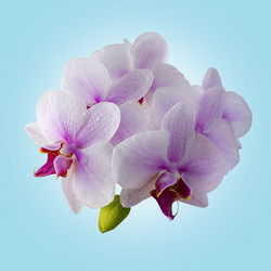 Similar image 12580103