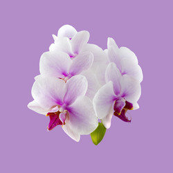 Similar image 12580105