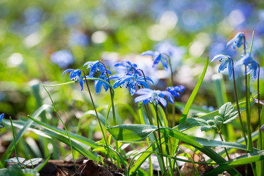 Similar image 12580763