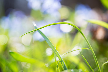 Similar image 12580764