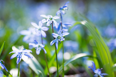 Similar image 12580818