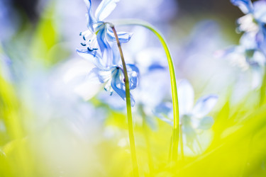 Similar image 12580906