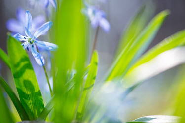 Similar image 12580917