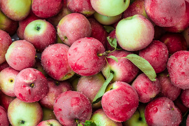 Similar image 12580919