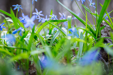 Similar image 12580923