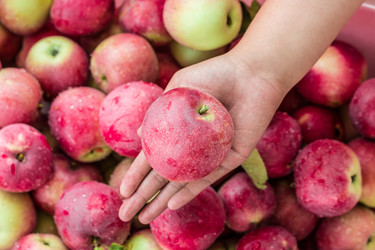 Similar image 12580924