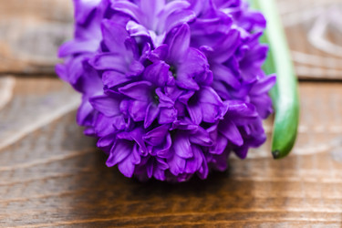 Similar image 12580927