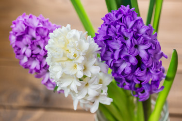 Similar image 12580940