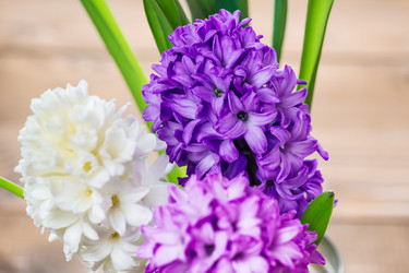 Similar image 12580941