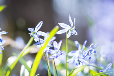 Similar image 12580944