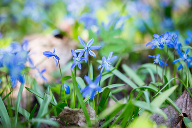 Similar image 12580945