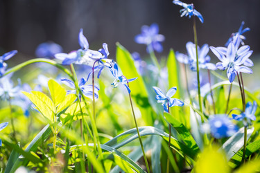 Similar image 12580946