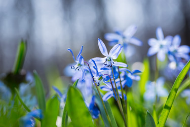 Similar image 12580948