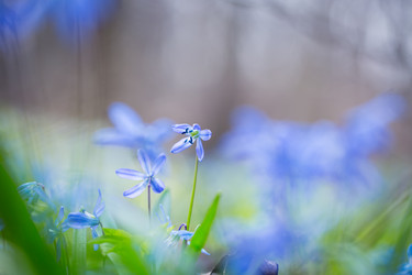 Similar image 12580949