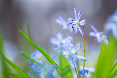 Similar image 12580951