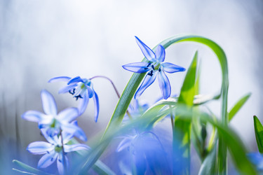 Similar image 12580952