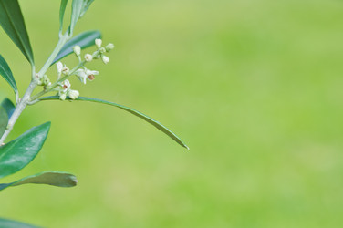 Similar image 12595788