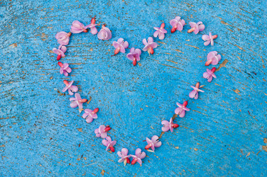 Similar image 12597066