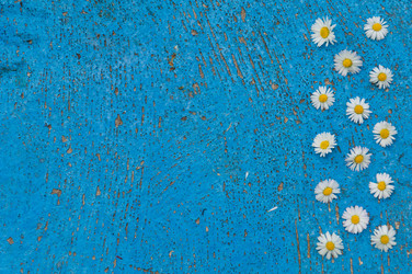 Similar image 12597076