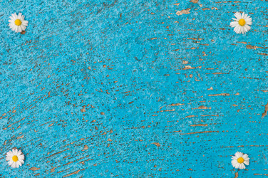 Similar image 12597093