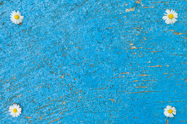 Similar image 12597036