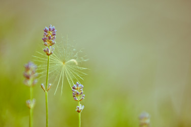 Similar image 12595737