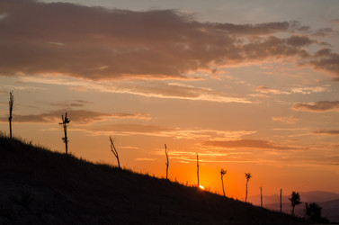 Similar image 12581543