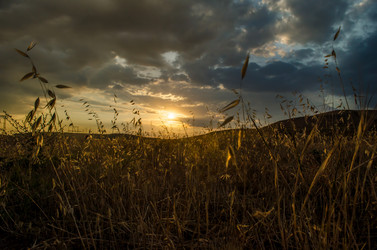 Similar image 12581565