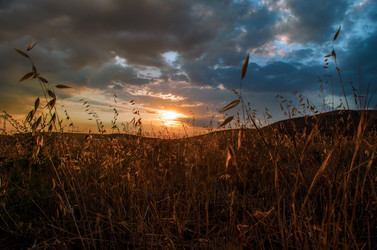 Similar image 12581566