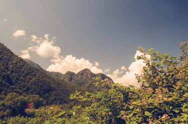 Similar image 12584710