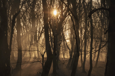 Similar image 12581572